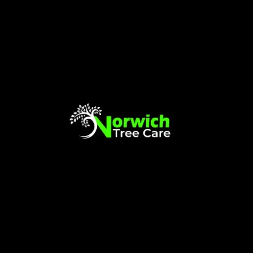 Norwich Tree Care