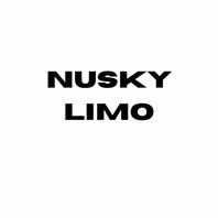 nuskylimo.com