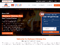 olympuschimneypro.com