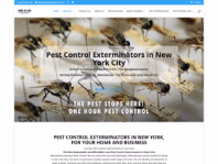 onehourpestcontrol.nyc