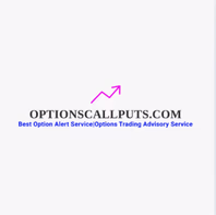 optionscallsputs.com