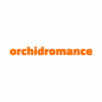 orchidromance.com