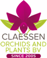 orchids-shop.com