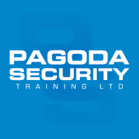 pagodasecurity.co.uk