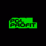 pdl-profit.com