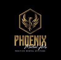 phoenixmartialarts.org