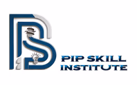 pipskillinstitute.com