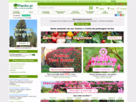 planfor.pt