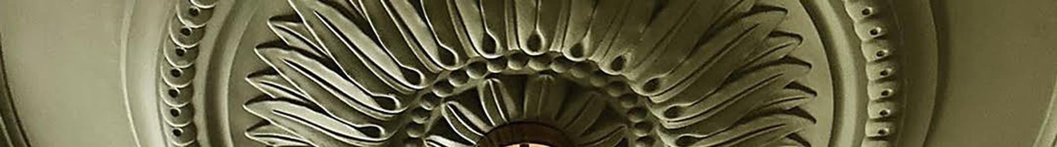 plasterceilingroses.com