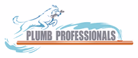 plumbprofessionals.com