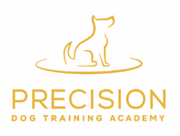 precisiondogtrainer.com