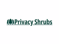 privacyshrubs.com