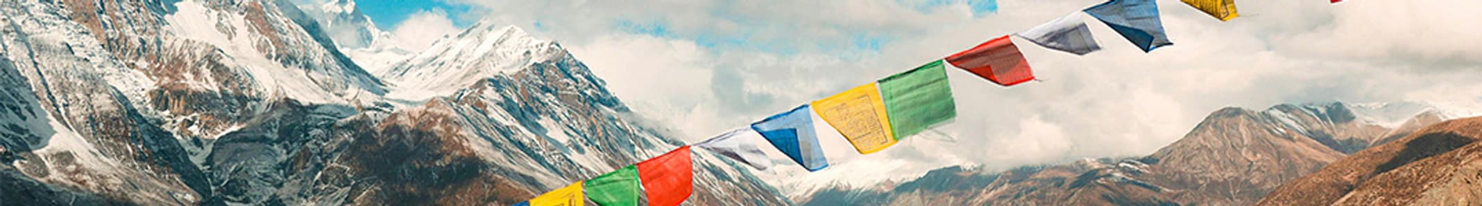 projects-abroad.co.uk