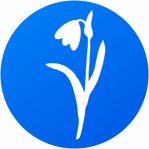 prolisok-official.com