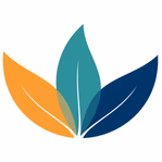 recoverycoachacademy.co.uk