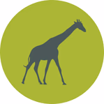 safari-consultants.com