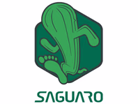 saguaro.com