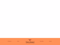salinaz.restaurant