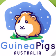 shop.guineapigsaustralia.com.au