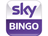 skybingo.com