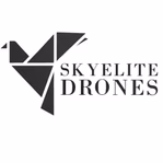 skyelitedrones.bigcartel.com