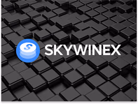 skywinex.com