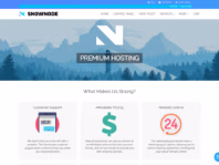 snownode.com