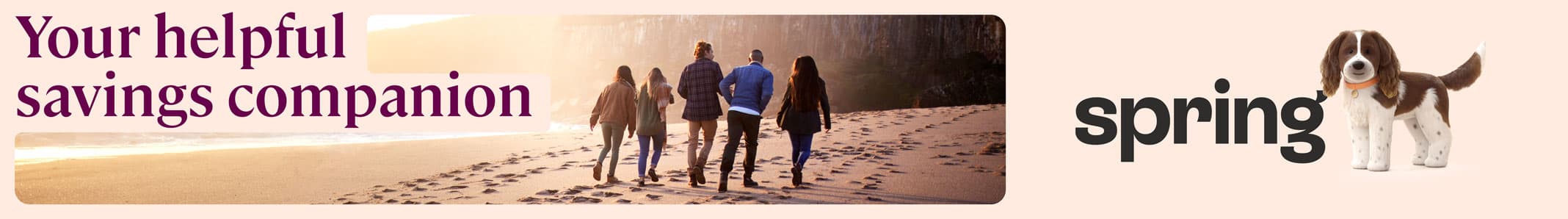 spring-savings.co.uk