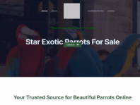 starexoticparrotsforsale.com