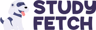 studyfetch.com