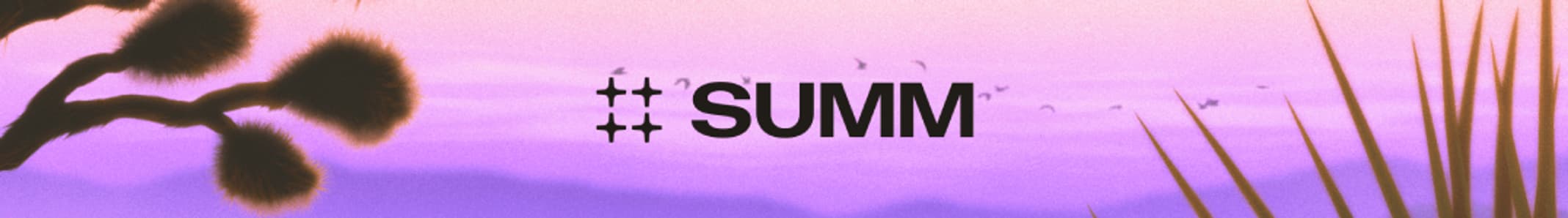 summ.com