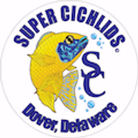 supercichlids.com