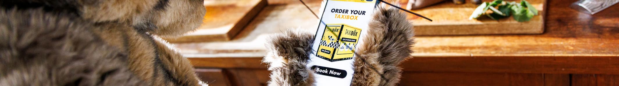 taxibox.com.au