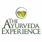 theayurvedaexperience.co.uk