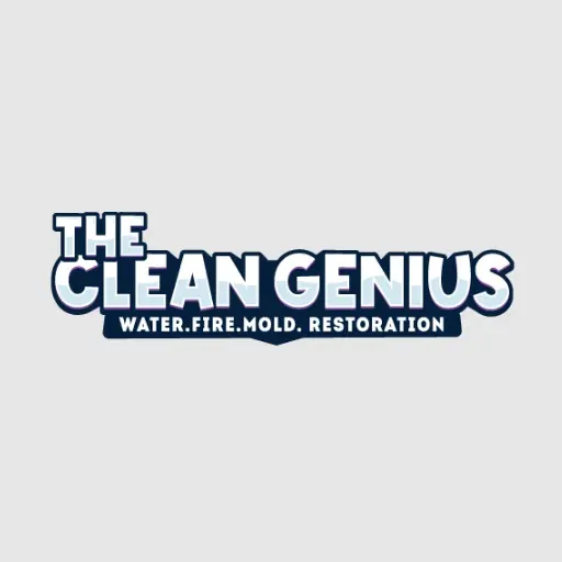 The Clean Genius