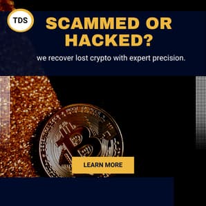 thedigitalsolution.pro