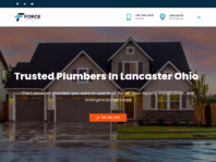 theforceplumbing.com