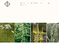 theherbalalchemists.co.uk