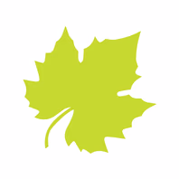 theorganicwinestore.com