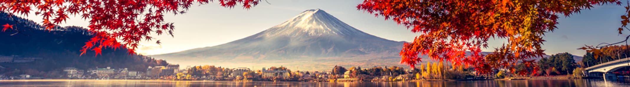 thephotographyinstitute.com