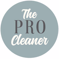 theprofessionalcleaner.net