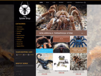thespidershop.co.uk