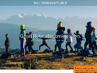 theyogiventures.com