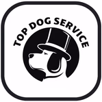 topdogboosting.com