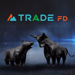 tradefd.com