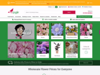 trianglenursery.co.uk