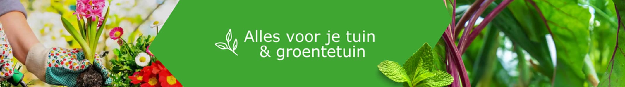 tuincentrumkoeman.nl