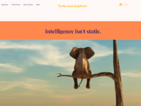 turtleandelephant.com