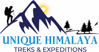 uniquehimalaya.com