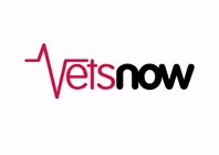 vets-now.com